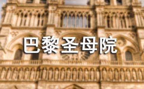 读《巴黎圣母院》有感(15篇)