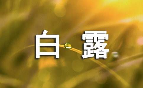 白露问候语