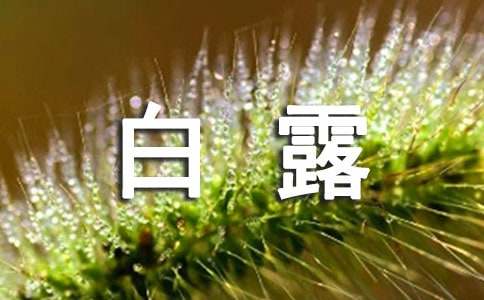 白露祝福语