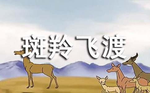 斑羚飞渡读后感通用15篇