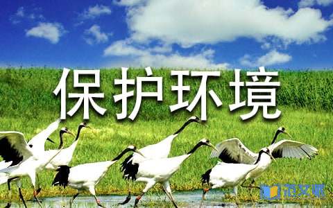 保护环境心得体会