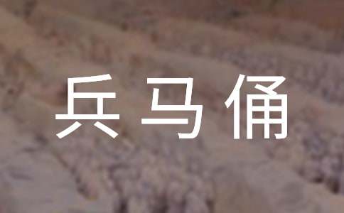 《兵马俑》观后感