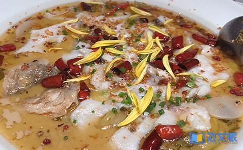 餐饮员工辞职报告(共7篇)