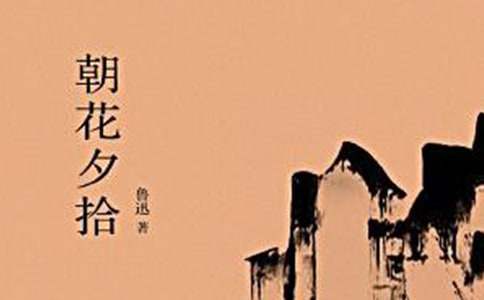 朝花夕拾读后感(实用)