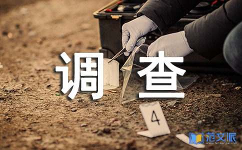 经营调查报告