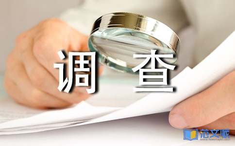 优选小学生调查报告
