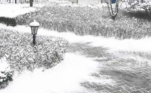 冬季除雪体验心得（精选7篇）