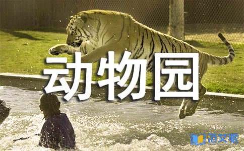 动物园观后感