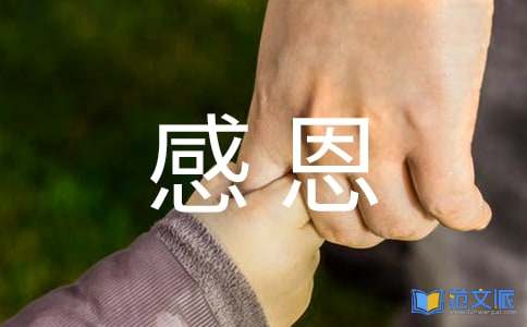 感恩的心观后感