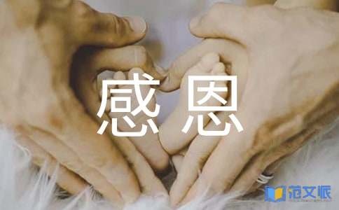 感恩的社会实践报告