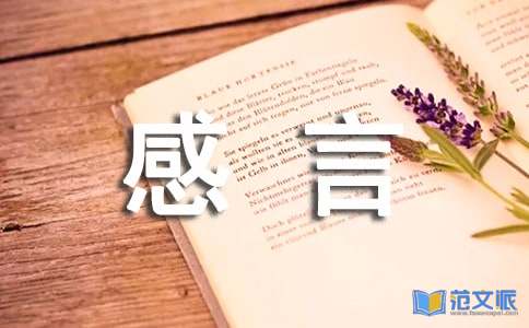 追求感言汇总50句精选