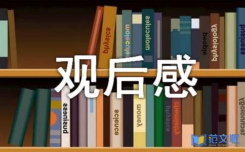 《绿皮书》观后感精选15篇