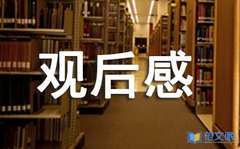 战狼2的观后感