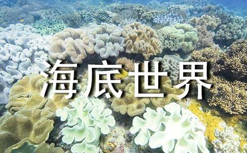 富国海底世界观后感