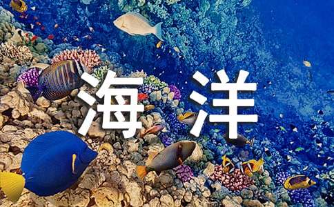 《海洋天堂》观后感(15篇)