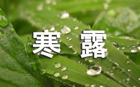 2023年寒露问候语31句