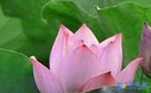 市场营销专业的实习报告15篇