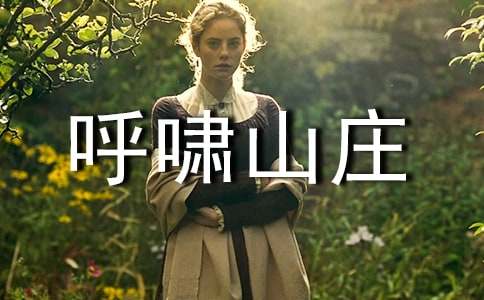 呼啸山庄读后感