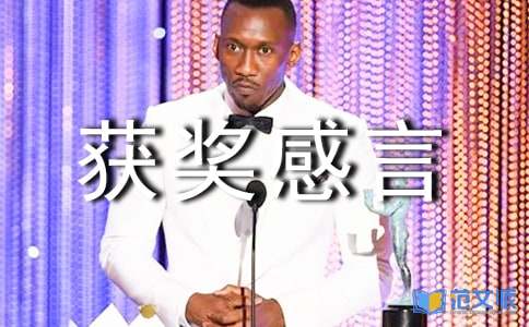 （精）优秀团队获奖感言
