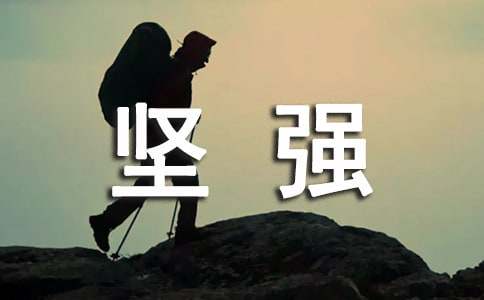 关于坚强留言240句