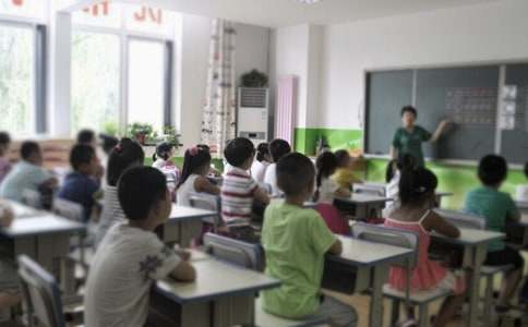 [优秀]综合实践活动教学工作总结