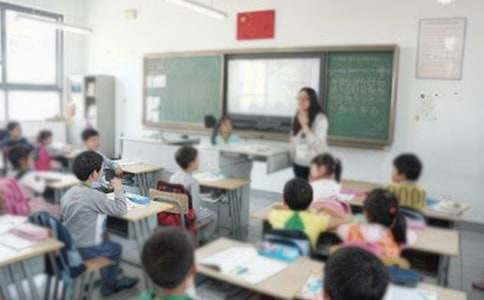 主题活动教学工作总结