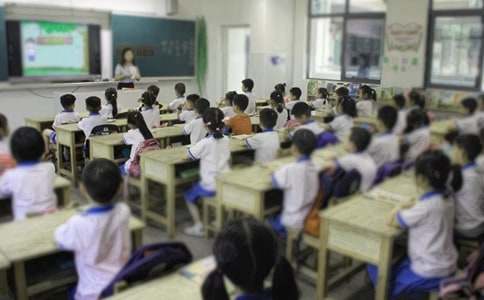 小学作文教学调查报告