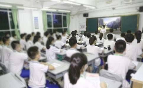 教学助理实习报告