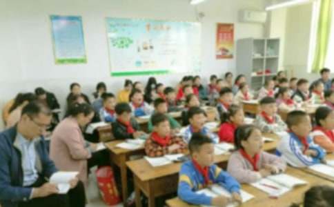 教育教学情况调查报告
