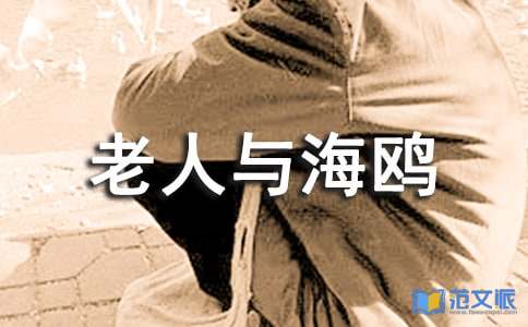 《老人与海鸥》的读后感范文8篇