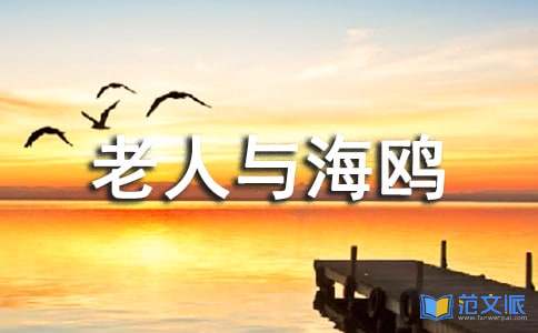 《老人与海鸥》的读后感