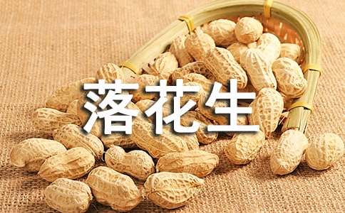 落花生的读后感