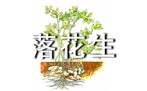落花生读后感【热门】