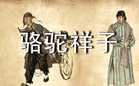 骆驼祥子读后感(集锦15篇)
