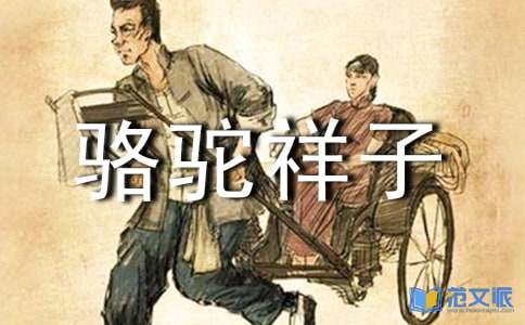 骆驼祥子左右读后感