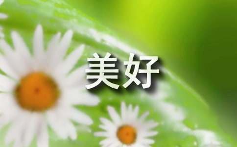 对美好生活的感言