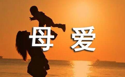 血色母爱读后感