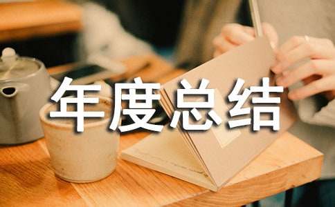 导购年度总结范文