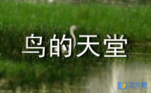 《鸟的天堂》读后感