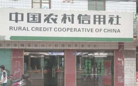 实用的农村信用社的实习报告四篇