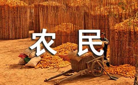 农民工返乡对社会治安影响调查报告