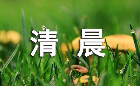 清晨励志问候语