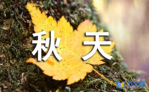 《秋天的怀恋》读后感