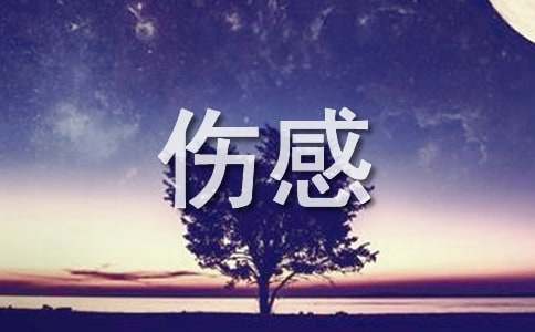 QQ空间伤感留言(通用15篇)
