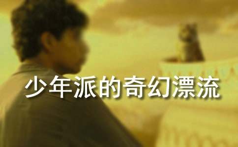 少年派的奇幻漂流观后感(合集15篇)