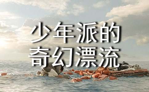 少年派的奇幻漂流观后感15篇