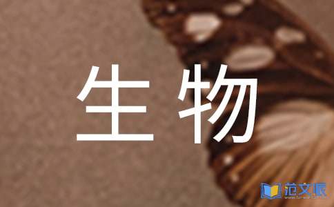 大学生物流公司实习总结