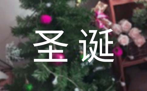 圣诞节活动总结(通用15篇)