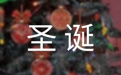 幼儿园庆圣诞迎新年活动总结