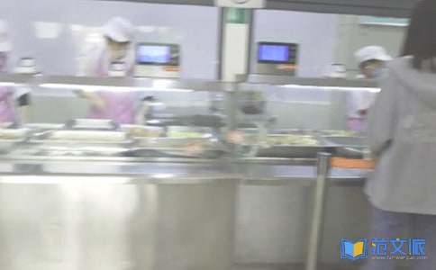 食堂员工个人工作总结